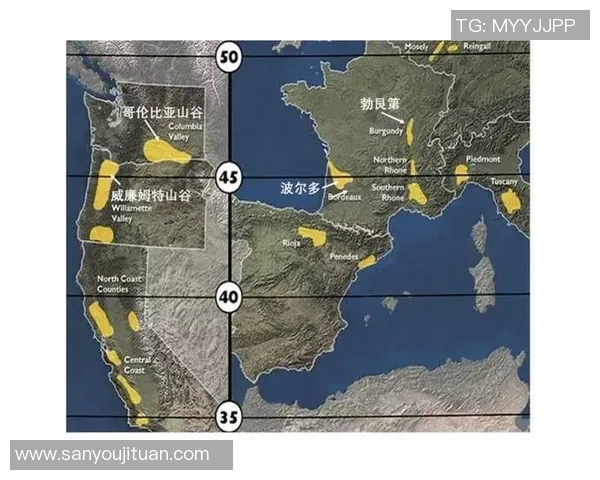 北京足球队的崛起与发展探索：团结力量与未来愿景的交汇点